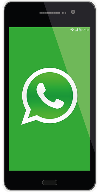 Contact us with whatsapp